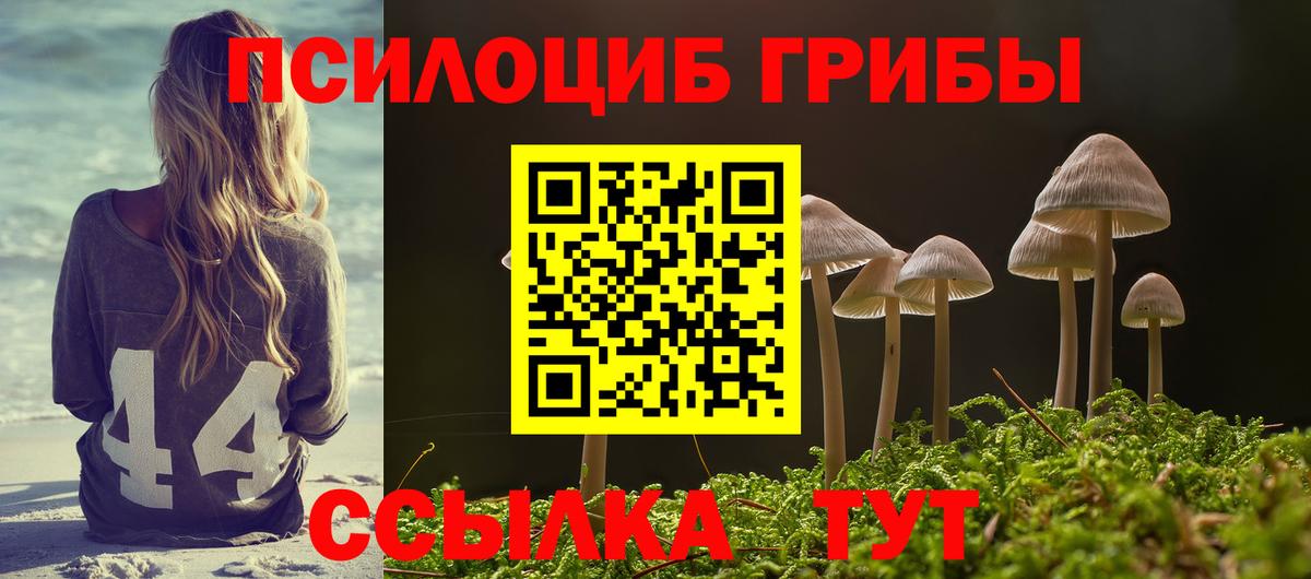 Галлюциногенные грибы прущие грибы Ялта